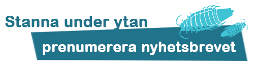 Prenumerera Velmus nyhetsbrev